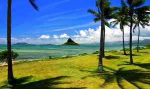 廣州到夏威夷國際物流-鑫漢物流